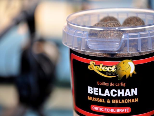 select baits  - select-baits-la-horgesti-2.jpg